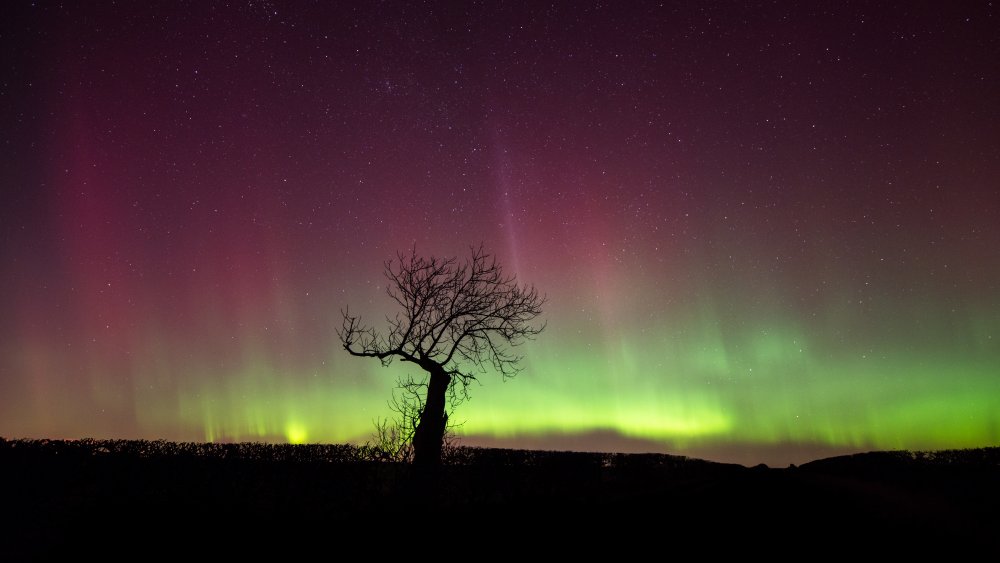 northern lights scotland