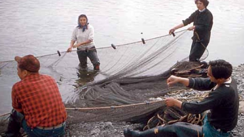 Quileute Net Fishing