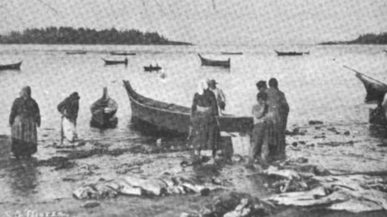 Halibut fishers