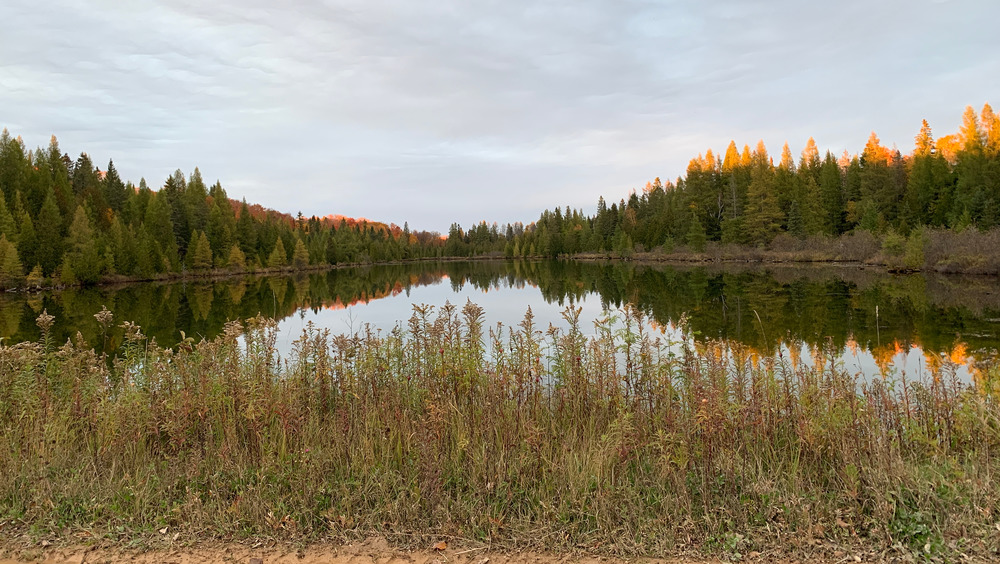 scenic view of Trout Lake in Michigan