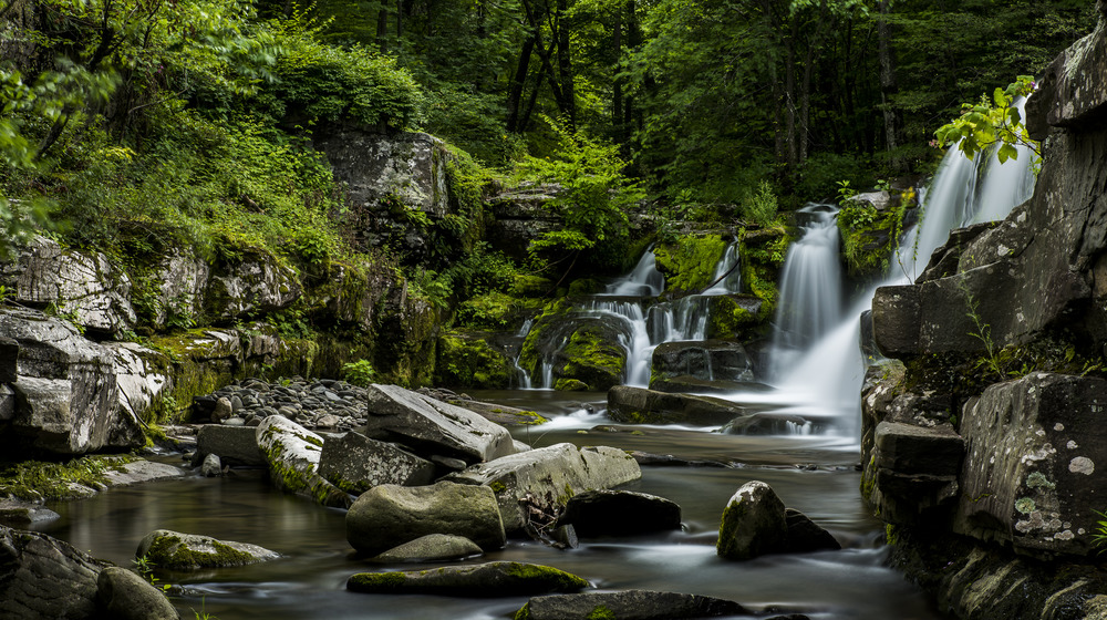 West Saugerties featuring rocks and waterfalls