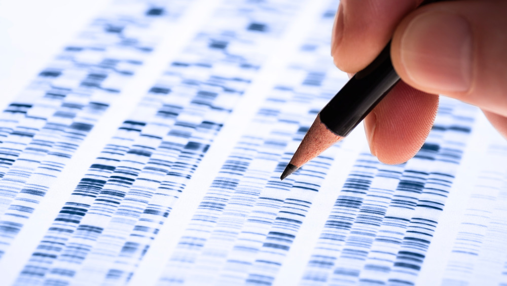 analyzing genome with hand holding pencil