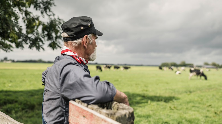 farmer in a hat