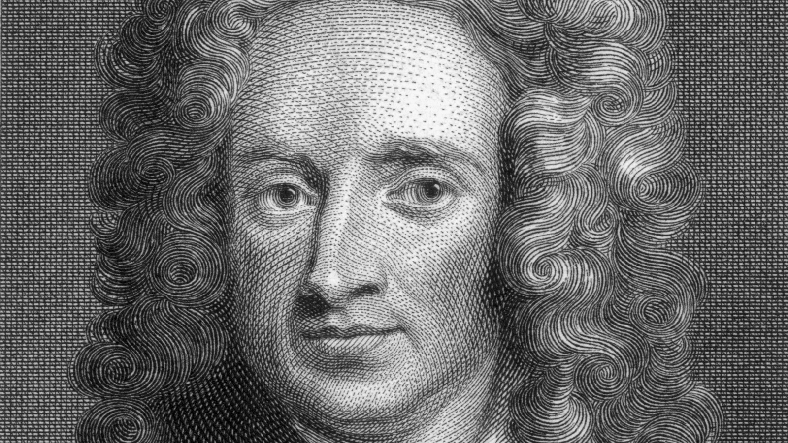 Brilliant Scientist Physicist Isaac Newton, Funny Illustration