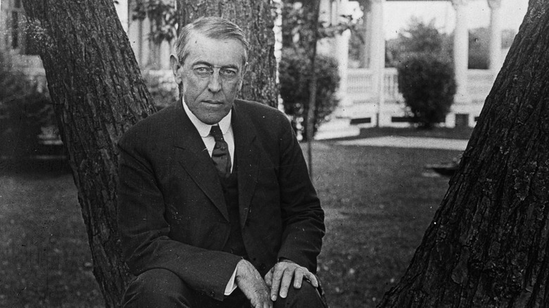 woodrow wilson sitting on tree