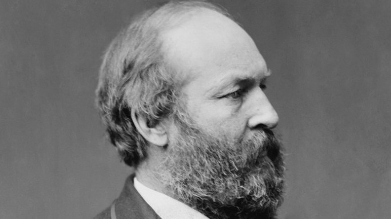 James A. Garfield in profile with beard