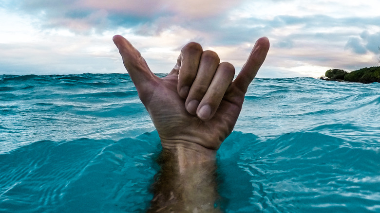 Person swimming raising hand above water shaka hand gesture