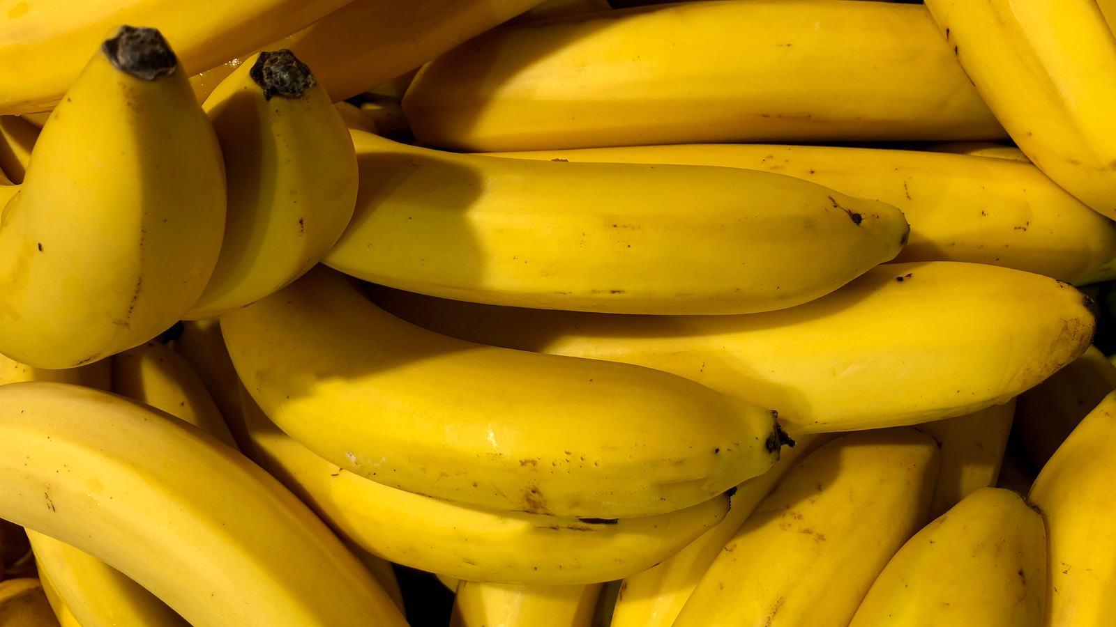 The Origin Of The Phrase Go Bananas 