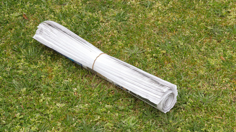 Newspaper rolled with rubber band