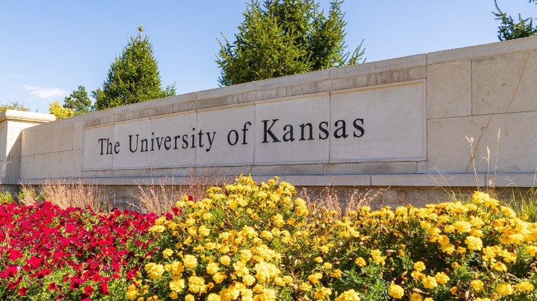 The University of Kansas