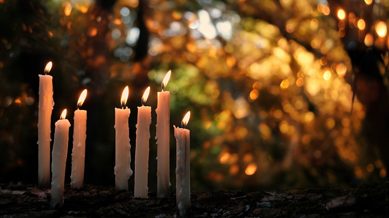 Candles in autumn forest
