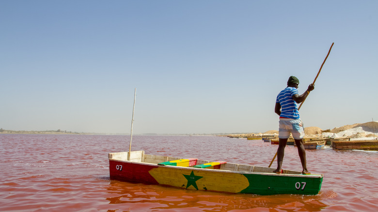 Senegalese salt diver, Lake Retba