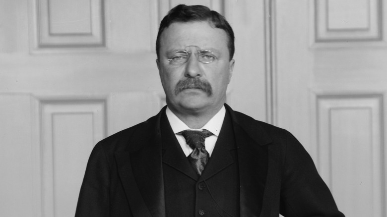 Teddy Roosevelt