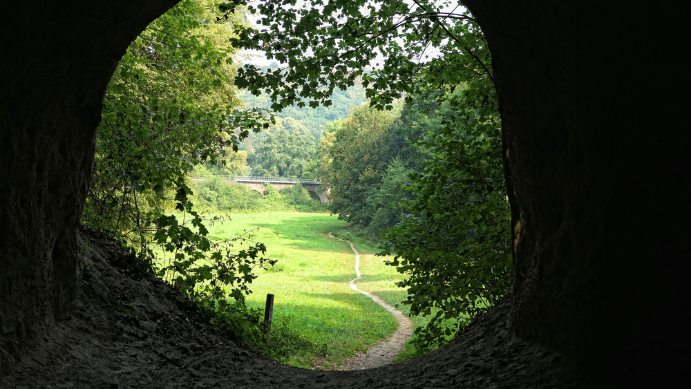 germany cave mouth with trail and trees