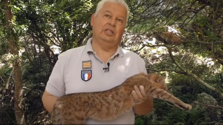 Scientist with a fox-cat