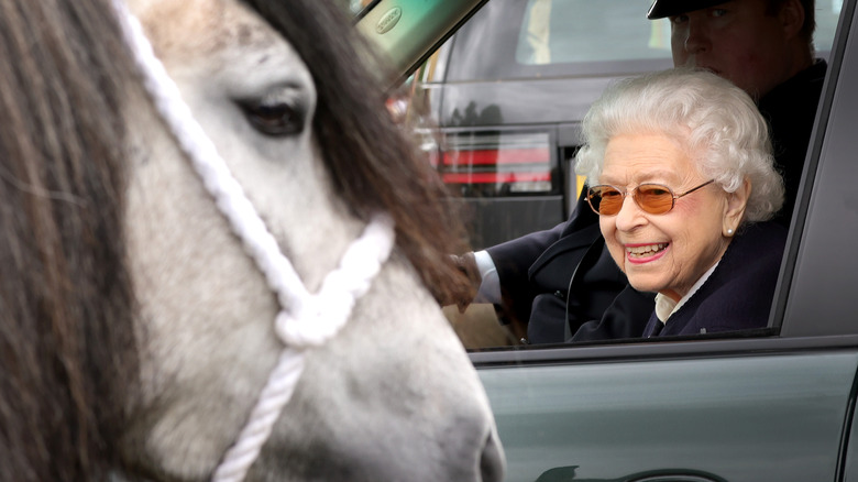 Queen Elizabeth II smiling at horse through car window