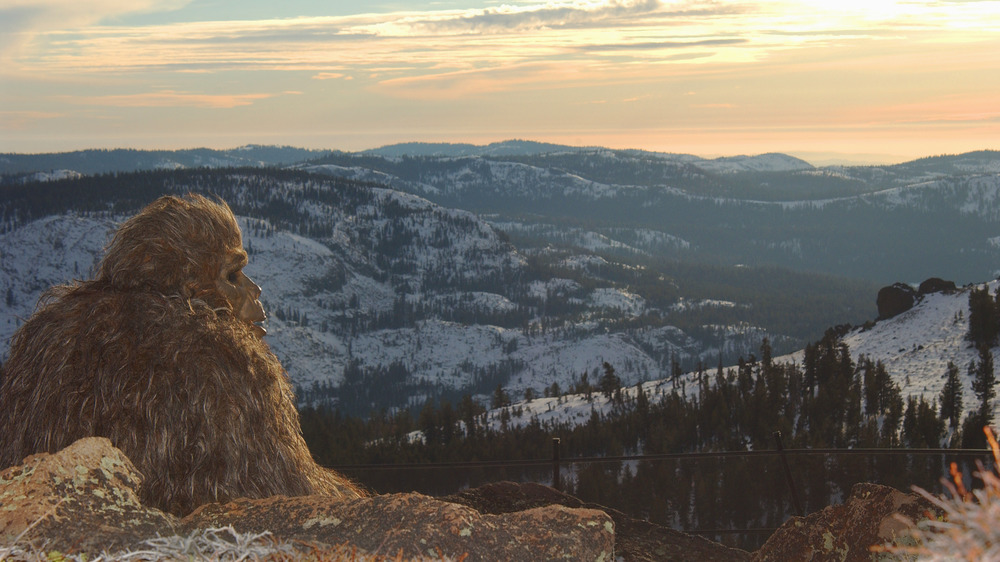 Bigfoot gazing into the sunset