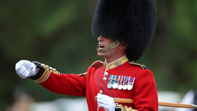 Royal guard in formation