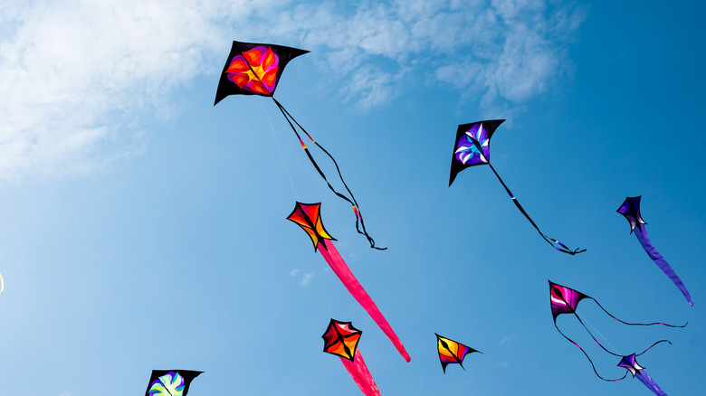 Kites in sky