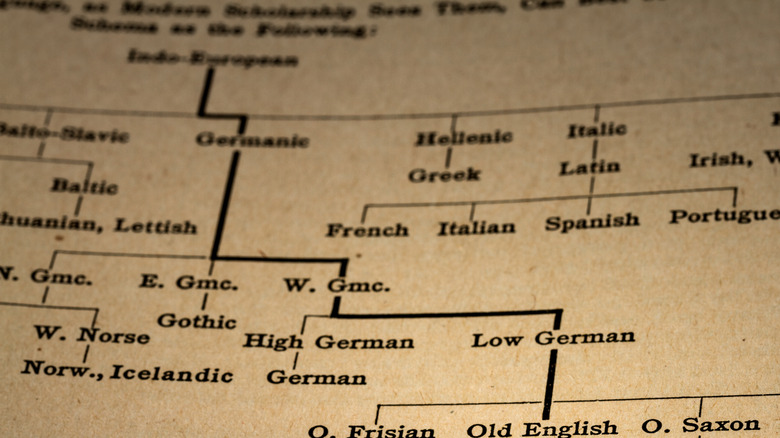 Indo-European language family