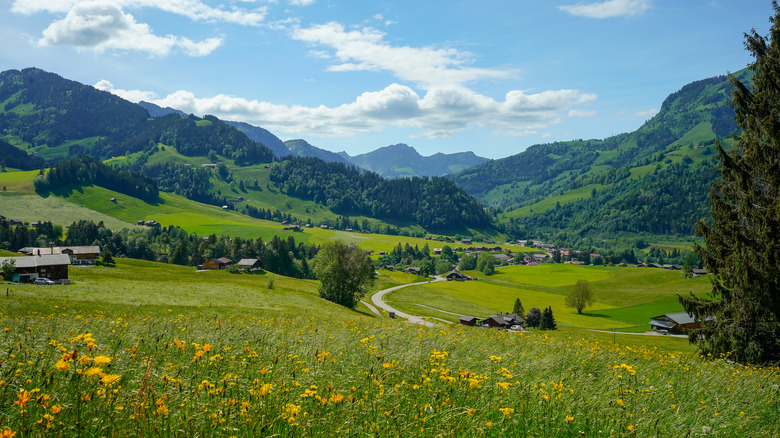 Chateau d'Oex Switzerland fields mountains and houses