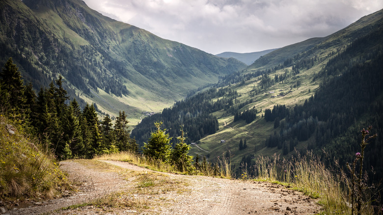 Austrian glacier-made forest valley