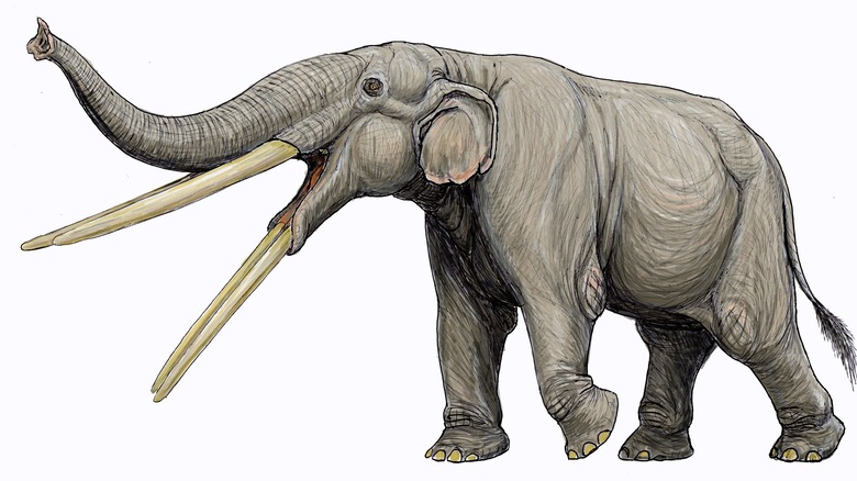 stegotetrabelodon illustration