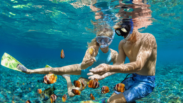 Two people swimming underwater surrounded by fish