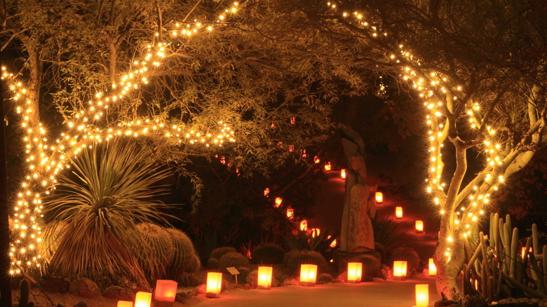 Holiday light display and luminarias