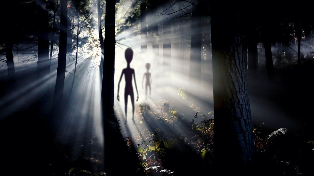 Aliens in the woods