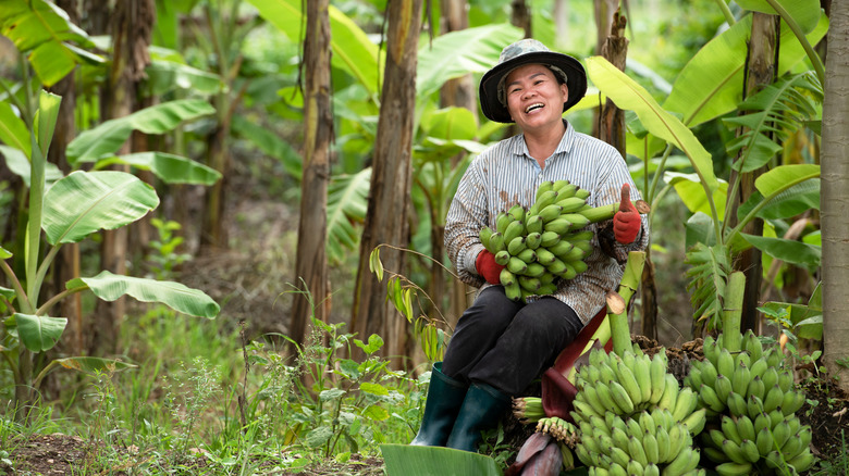 woman smiling on banana farm