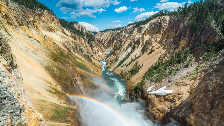 Wyoming landscape with trees and a river