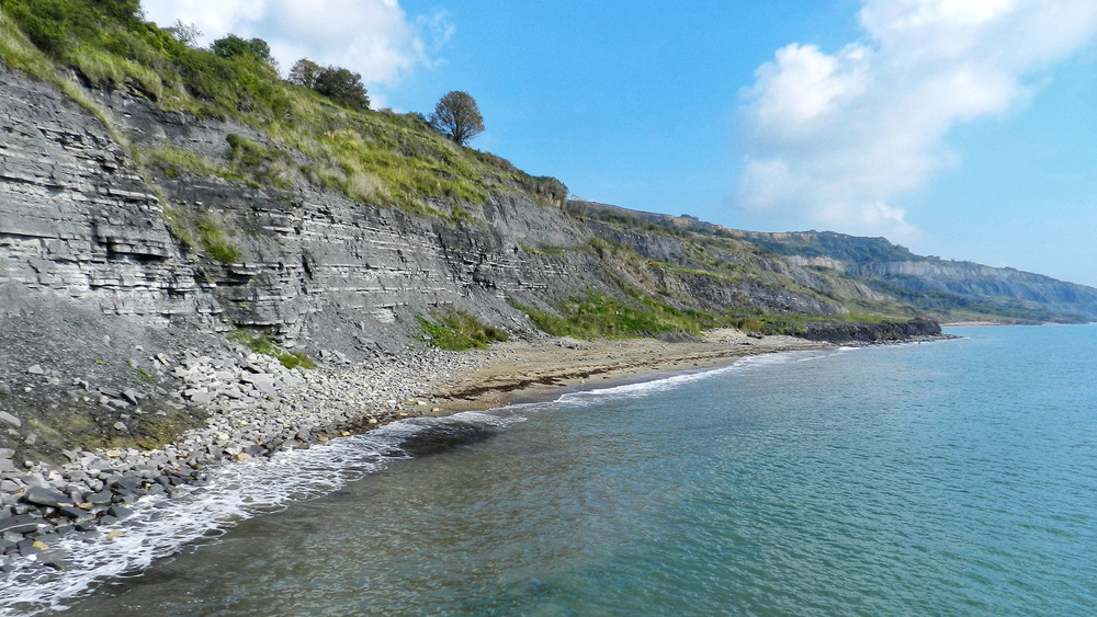 The Jurassic Coast