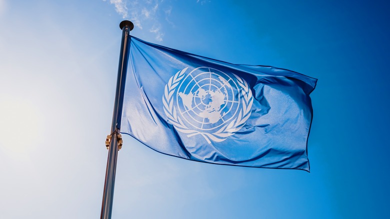 The UN Flag