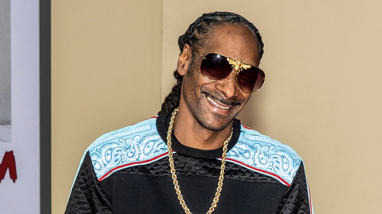 Snoop Dogg smiling