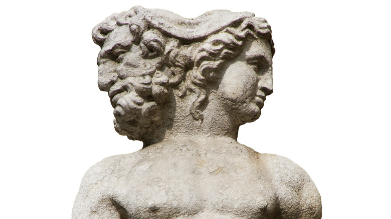 Janus head and shoulders