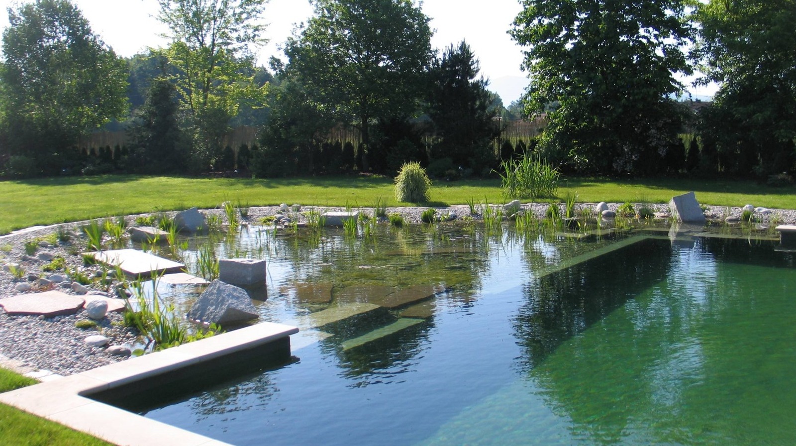 The Science Behind Natural Swimming Pools