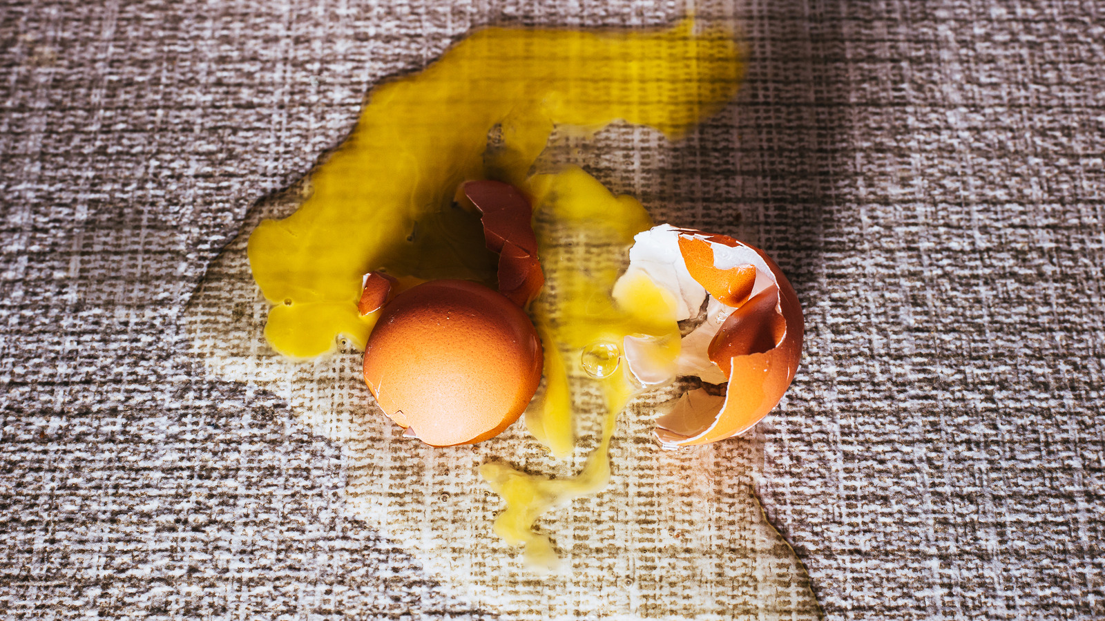 What Is The Science Behind The Egg Drop Challenge