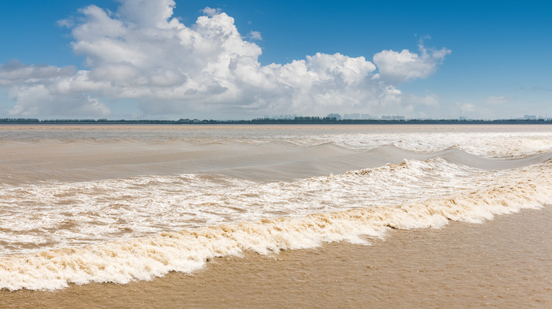 sediment in the ocean