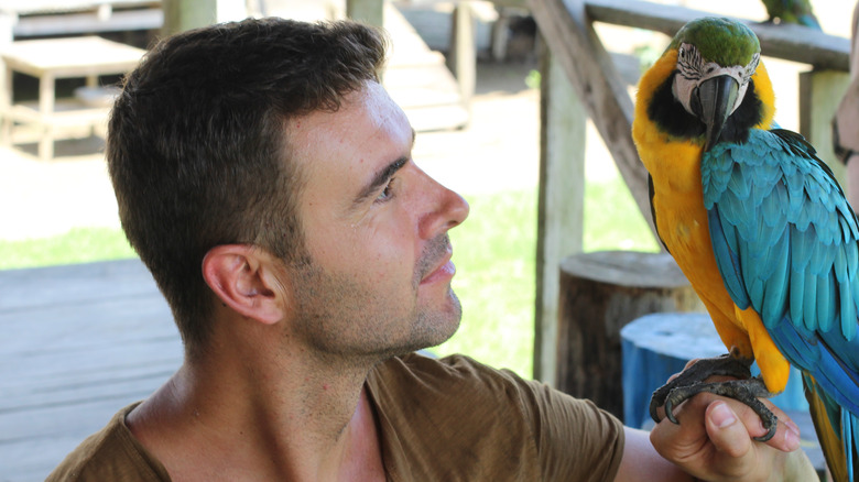 Bonding with blue macaw parrot