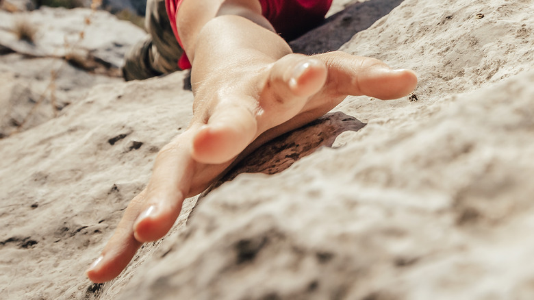 A rock climber