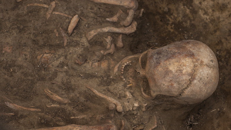 Unearthed Scythian grave