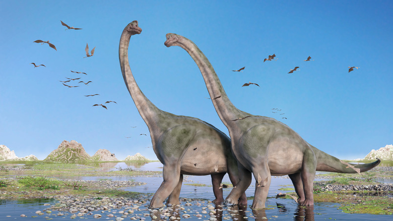 two sauropods in a lake rendering