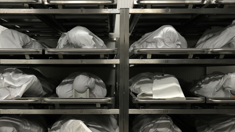 bodies in a morgue