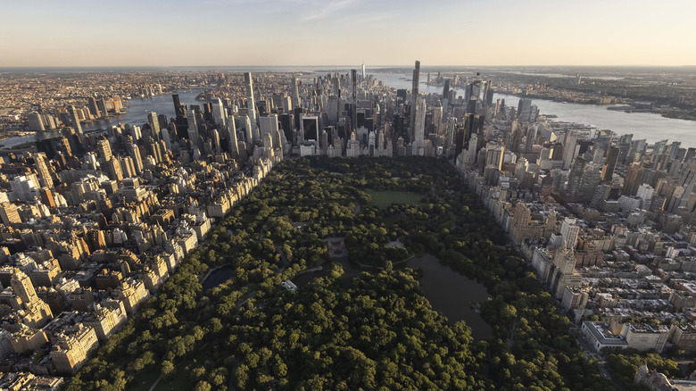 Central Park in 2021