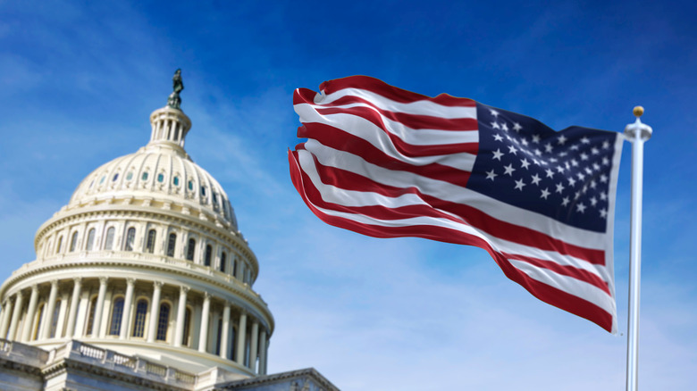 Capitol dome and flag