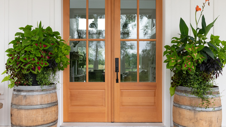 Rustic doors