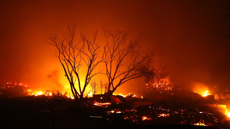 2018 Camp Fire wildfire