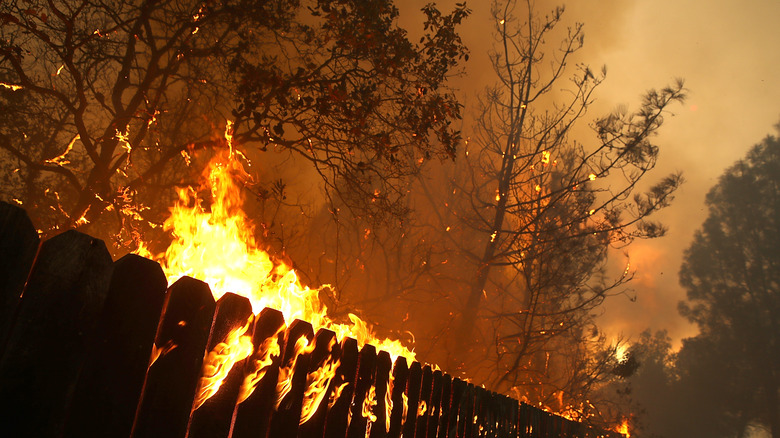 2018 Camp Fire wildfire