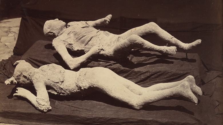 casts of pompeii victims